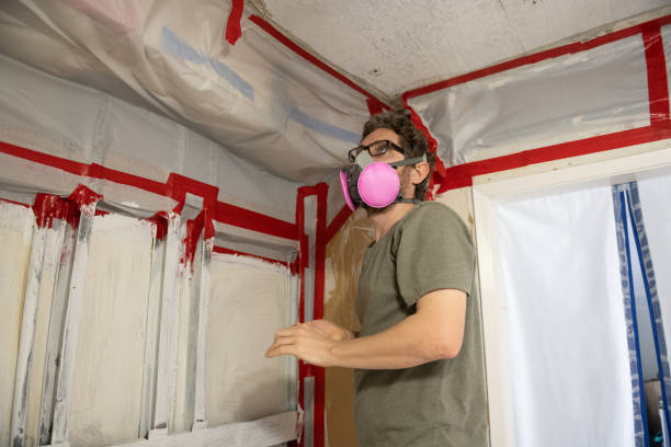 Biohazard Mold Removal in Hinton, OK